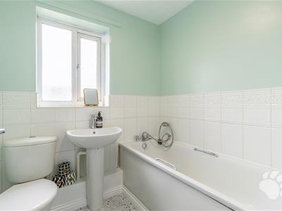 Picture 17